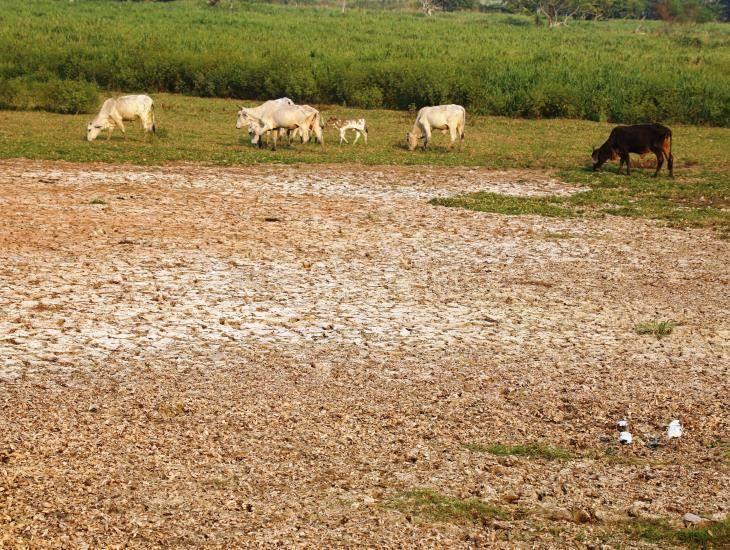 Sequía no abandona al sur veracruzano; estos son los municipios donde persiste