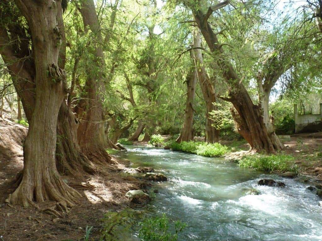 ANP’s Guardianas de la naturaleza