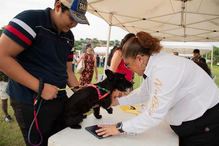 Expo Mascotas 2024 en Poza Rica, se realizó con gran éxito