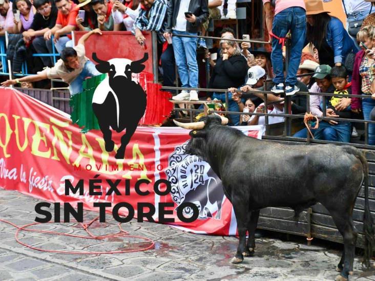 Exigen activistas alto a eventos de tauromaquia en Veracruz