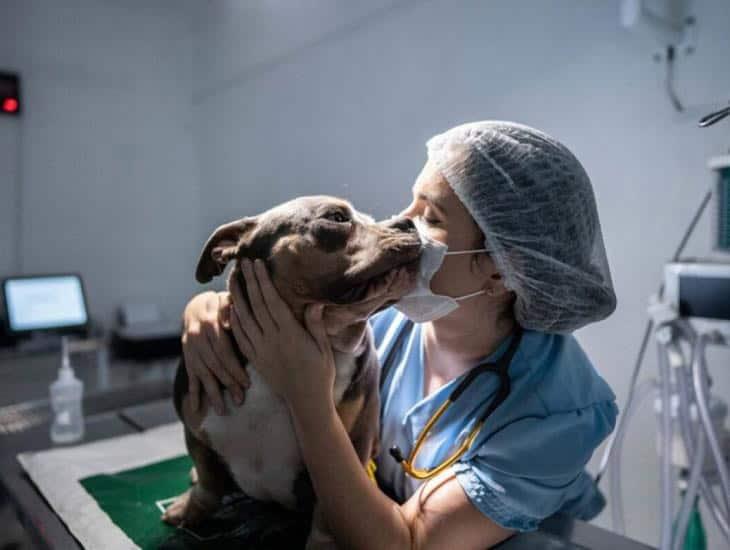 ¿Cuánto gana al mes un veterinario en Coatzacoalcos?