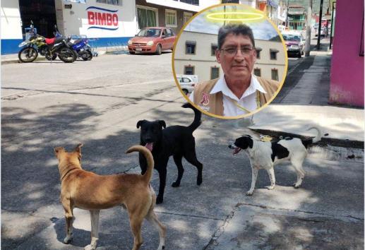 Reglamento de Río Blanco: ¿eutanasia animal disfrazada de bienestar?