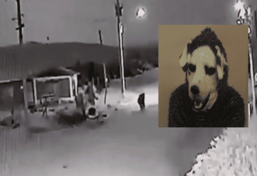 Captan en VIDEO a presunto perro convirtiéndose en hombre; es en este sitio