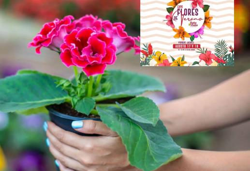 "Expo Flores de Verano", este fin de semana, en el parque Juárez de Xalapa