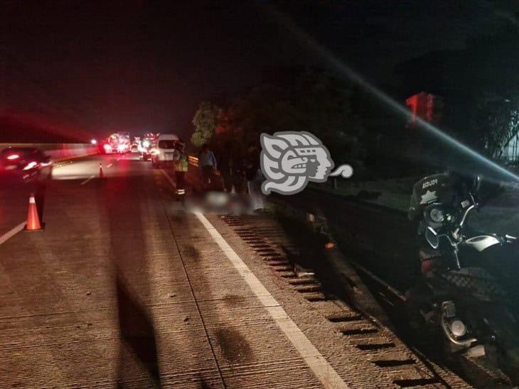 Hallan a hombre sin vida en la Autopista Córdoba-Veracruz; habría sido atropellado