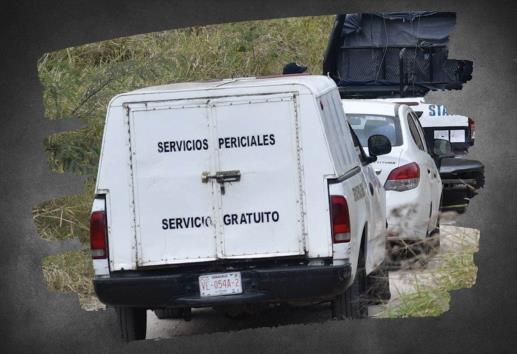 Perote: Abandonan cuerpos humanos en camino cercano a Granjas Carroll