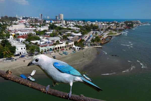 Dragado del río Jamapa costará 64 mdp; se instalarán torres para avistamiento de aves