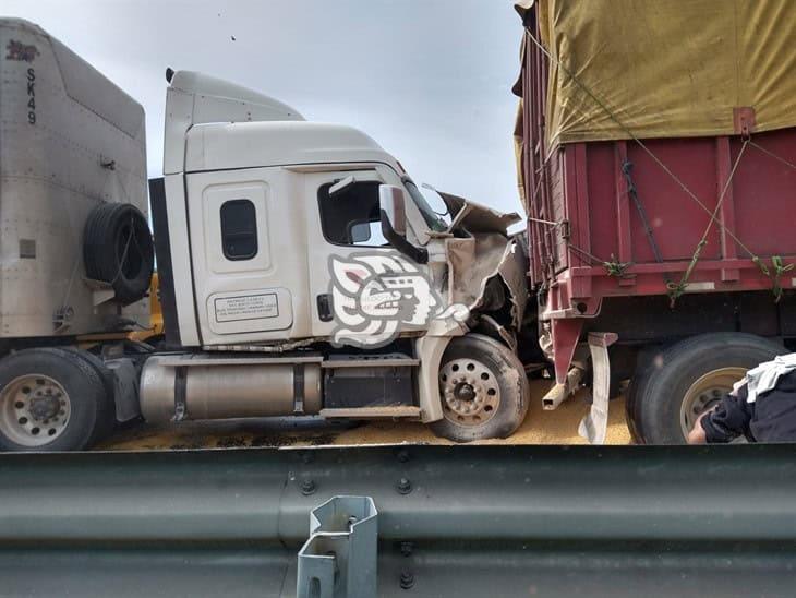 Derrame de maíz en grano por choque de tráileres en la Autopista Veracruz-Córdoba