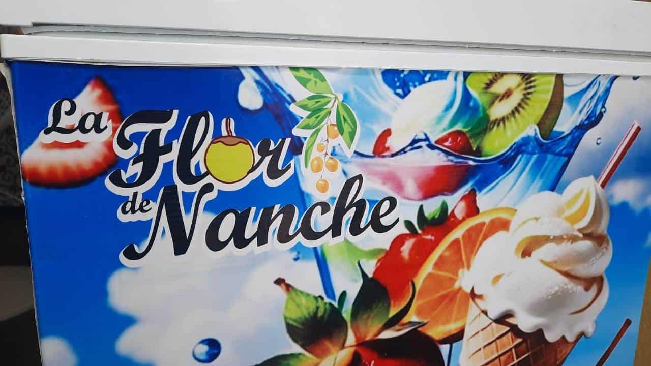 Flor de Nanche: nieves artesanales con décadas de historia en Nanchital