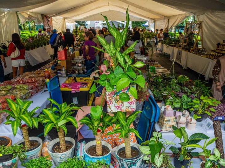 Expo Flores en Xalapa: más de 40 expositores en el parque Juárez