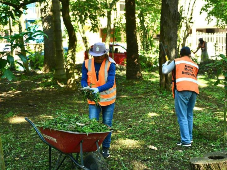 Van en Xalapa por recuperación de espacios públicos y medio ambiente