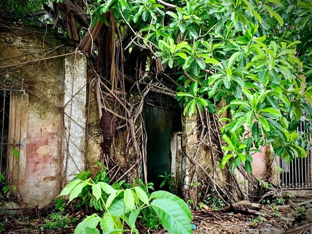 La casa en ruinas en el Centro de Minatitlán; un misterio que alimenta historias paranormales | VIDEO