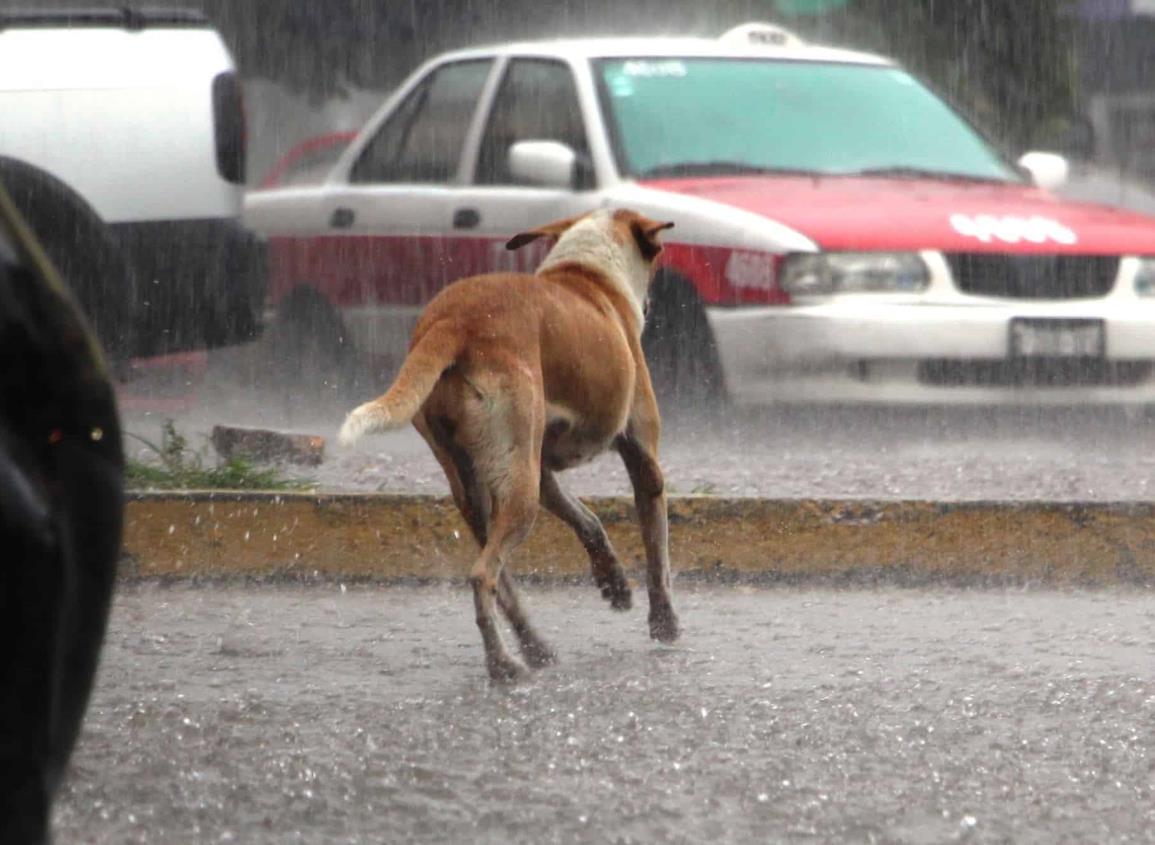 Pronostico del clima en Coatzacoalcos ¿habrán más tormentas?