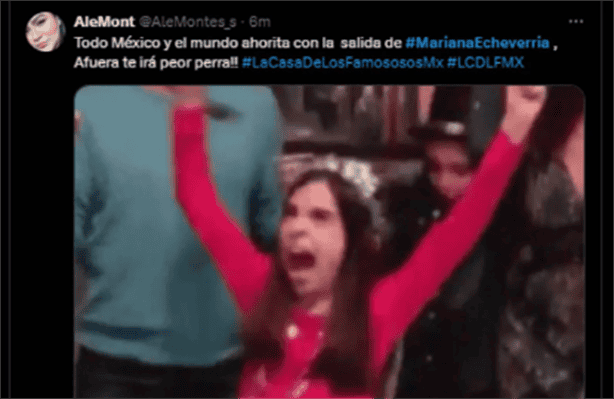 LCDLFMX: Los mejores Memes tras la eliminación de Mariana Echeverría