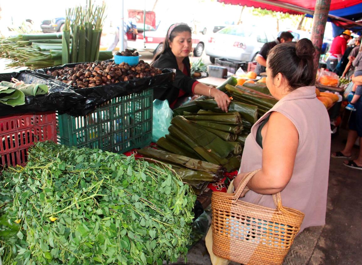 Lluvias benefician al campo del sur de Veracruz; estas verduras bajan de precio