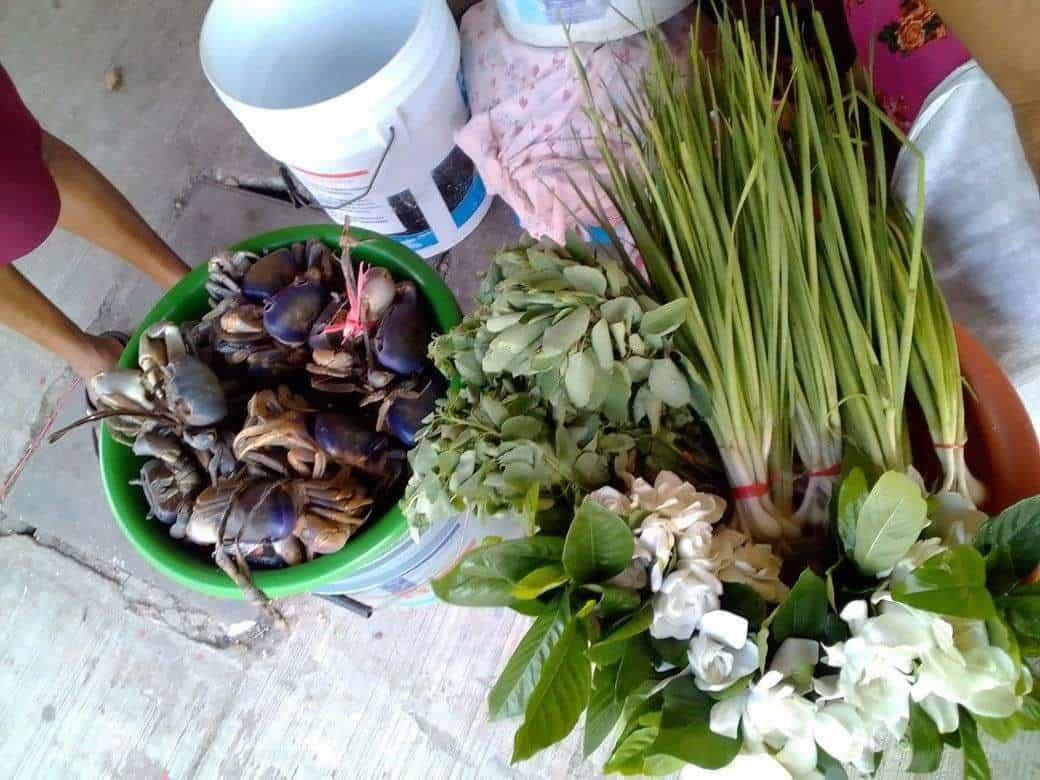 Pese a veda, comercializan pajapeños cangrejo azul 