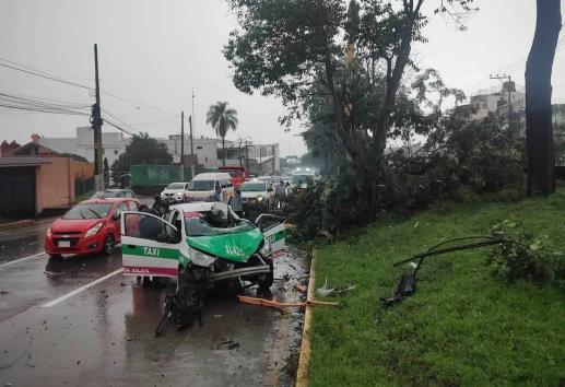 ¡Lo partió un rayo! Cae árbol en Xalapa y aplasta taxi en avenida Lázaro Cárdenas (+Video)