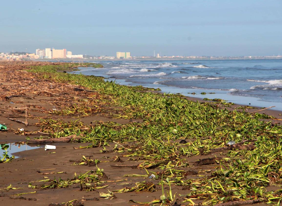 Así estará el clima en Coatzacoalcos este viernes 23 de agosto