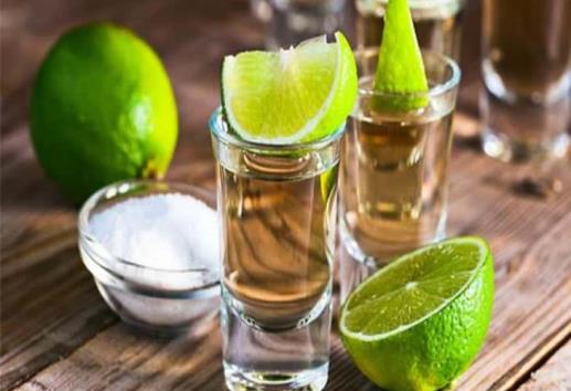 Tequila para todos; con la ciencia buscan mejorar la producción en México