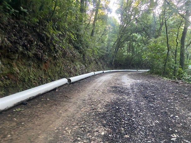 ¿A quién beneficia? Obras en reserva territorial La Martinica, en Banderilla, dañarían al medio ambiente