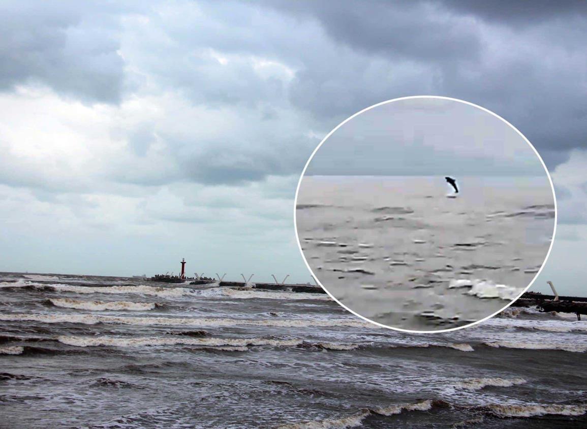 Delfines vuelven a dar espectáculo en costas de Coatzacoalcos l VIDEO