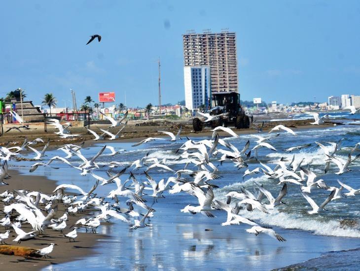 Así estará el clima hoy en Coatzacoalcos