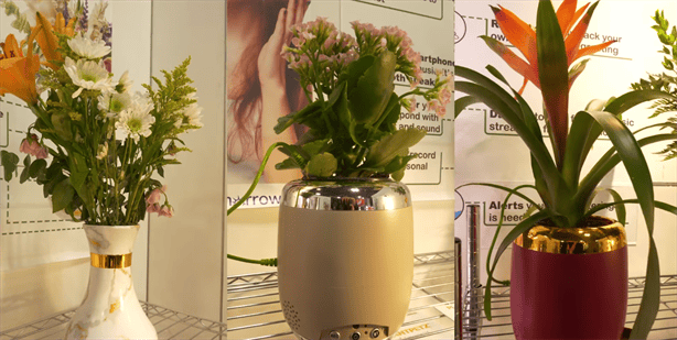 ¡Increíble! Este nuevo invento te permite “hablar” con tus plantas: Así te avisan cuando debes regarlas | VIDEO