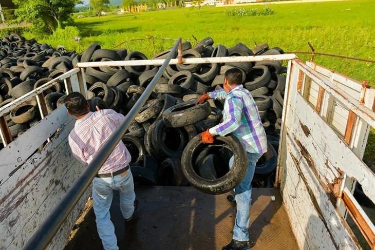 Retiran miles de llantas de predio en Poza Rica, formaban criaderos de mosquitos