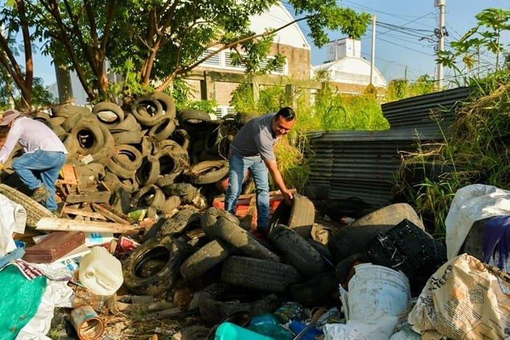 Retiran miles de llantas de predio en Poza Rica, formaban criaderos de mosquitos