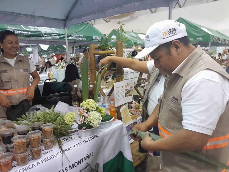 Anuncian jornada de Consumo Solidario en Río Blanco