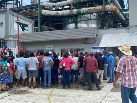 Industriales de la caña y el azúcar deben millones