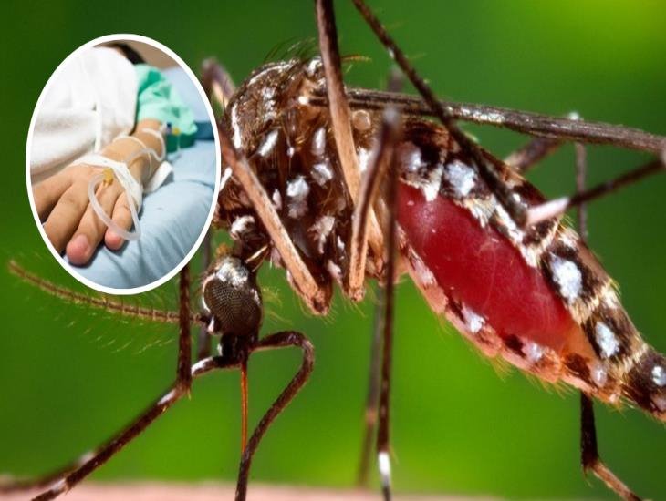 3 medidas que México aplica contra el dengue; dos las desconocías