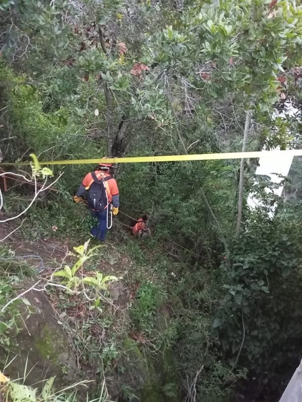 Tras 10 horas de labores, rescatan cuerpo de automovilista en barranco cerca de Xalapa; era de CDMX