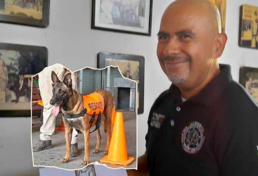 ¿Sabes cómo es el adiestramiento de perros para búsqueda de personas?