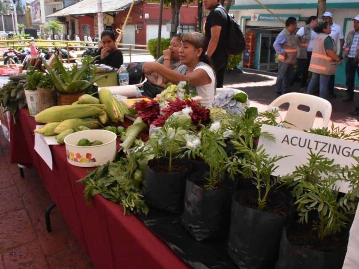 Así se vivió la jornada de Mercado de consumo solidario en Río Blanco