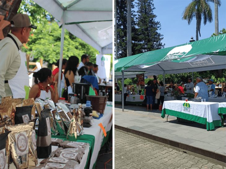 El mercadito solidario en Misantla ha fortalecido la economía local, señalan productores