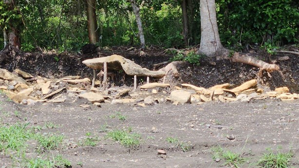 Avanza salvamento arqueológico de casa prehispánica en Morgadal, Papantla