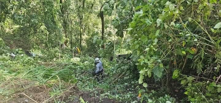 Autobús cae a barranco en Coscomatepec; hay al menos 4 muertos y 30 lesionados