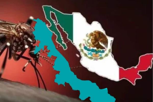Veracruz, con 13 defunciones por dengue este 2024