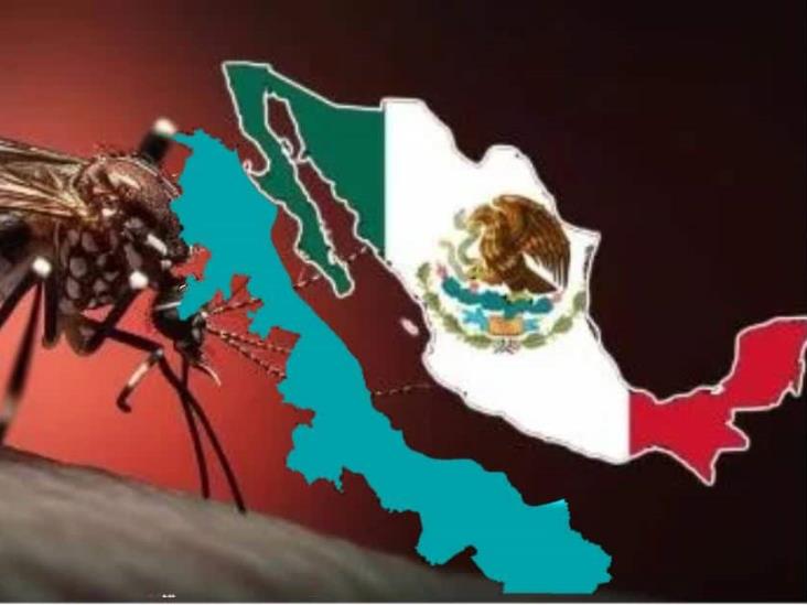 Veracruz, con 13 defunciones por dengue este 2024