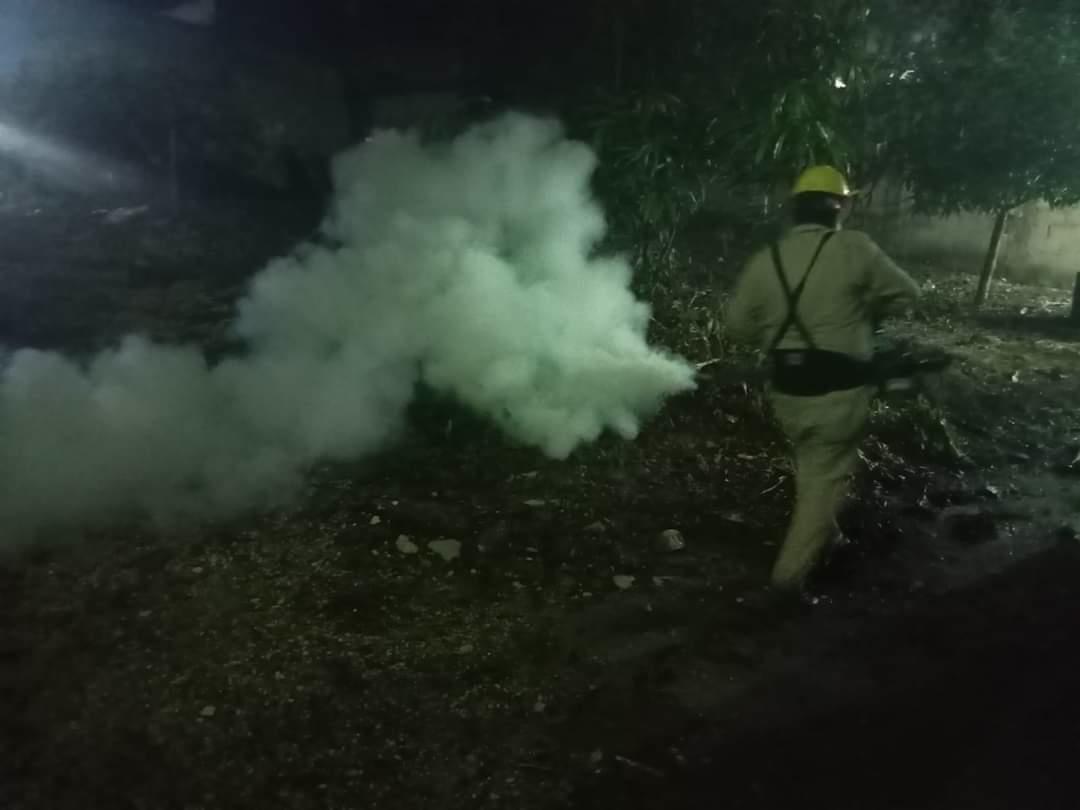 Implementan acciones para evitar propagación del dengue en Villa Cuichapa