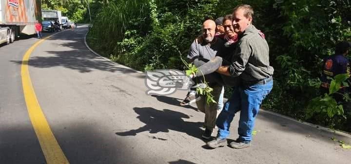 Accidente en carretera Fortín-Huatusco: Autobús cae a barranco, deja 4 muertos y más de 30 heridos