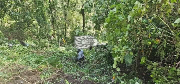 Accidente en carretera Fortín-Huatusco: Autobús cae a barranco, deja 4 muertos y más de 30 heridos