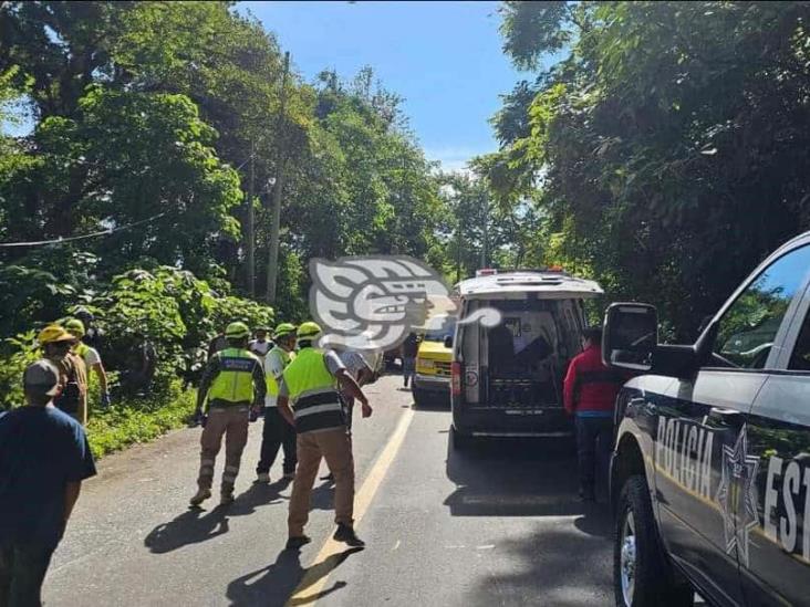 Accidente en carretera Fortín-Huatusco: Autobús cae a barranco, deja 4 muertos y más de 30 heridos