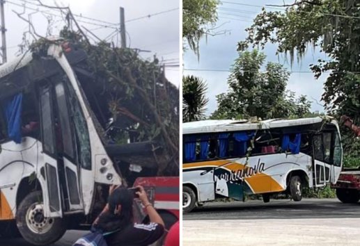 Van 3 fallecidos y 8 siguen hospitalizados, tras caída de autobús a barranco en Coscomatepec
