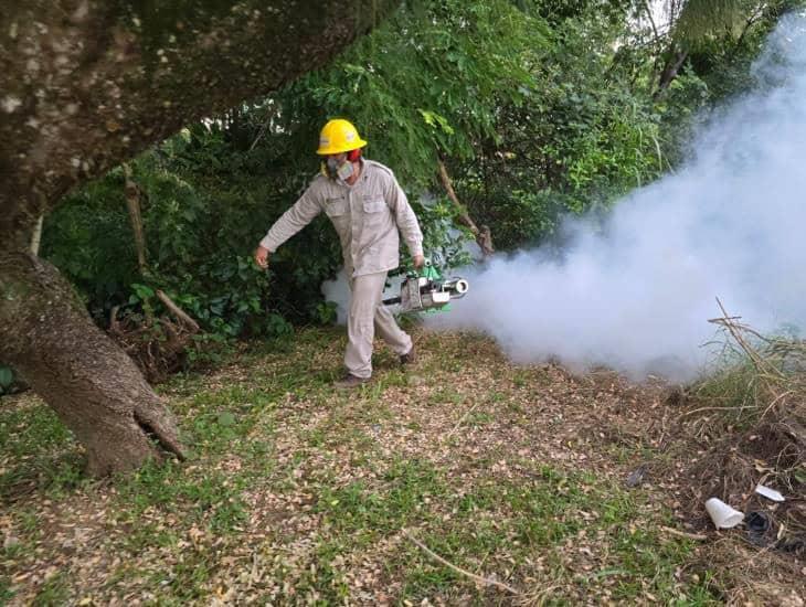 Intensifican acciones contra el dengue en Coatzacoalcos por temporada de lluvias