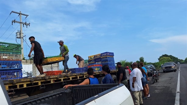 Conductor de tráiler es golpeado al intentar impedir la rapiña de su cargamento de pollos