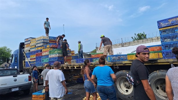 Conductor de tráiler es golpeado al intentar impedir la rapiña de su cargamento de pollos