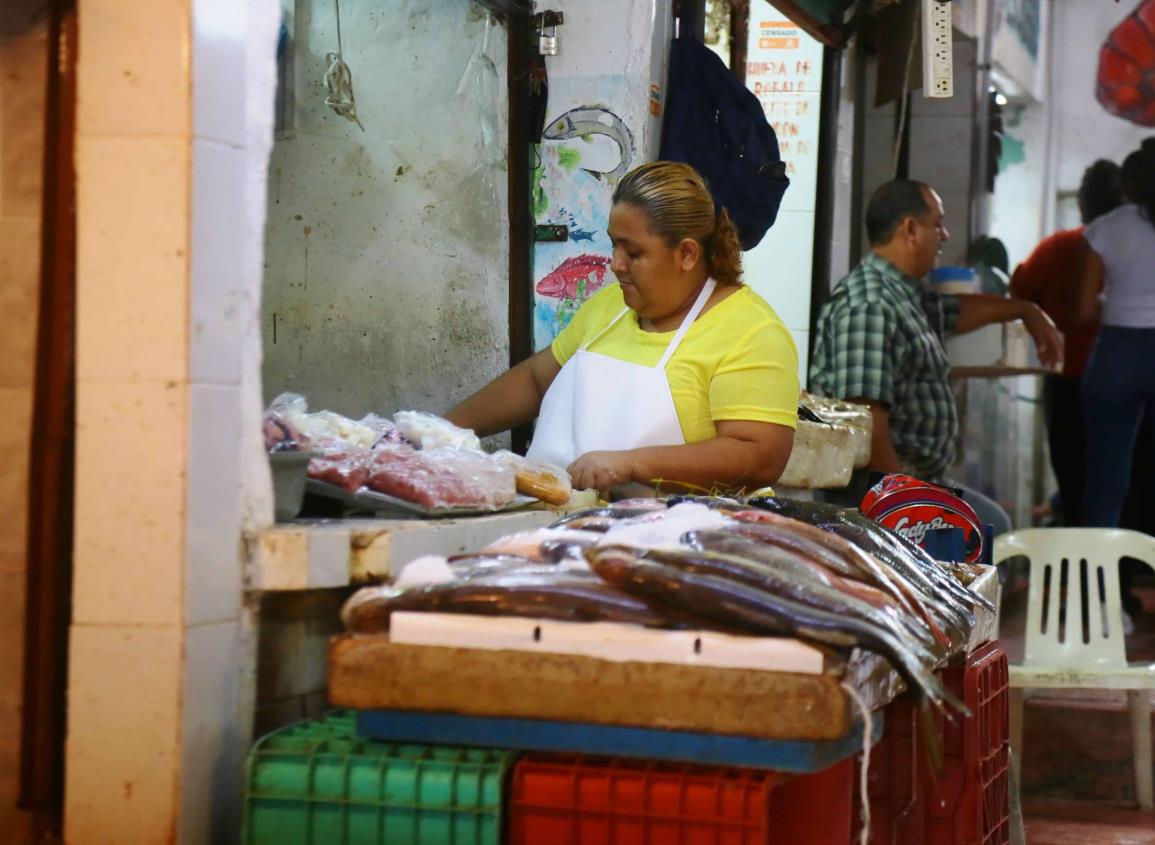 Plaga de moscas llega al mercado de mariscos de Coatzacoalcos; así la combaten