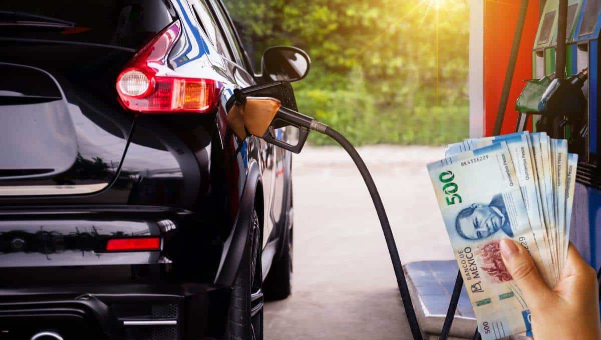 Precio de la gasolina en México hoy martes 3 de diciembre; ¿dónde es más barata?